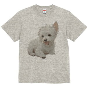 EGXgnChzCgeA TVc  j[NfUCfB[X t@  t vg lJWA 킢 lԗp Mtg I ҏ΍ EGXgnChz