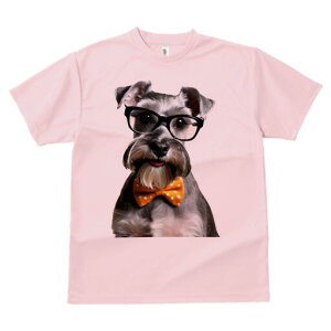 ~j`AViEU[ TVc  j[NfUCfB[X t@  t vg lJWA 킢 lԗp Mtg I ҏ΍ Kl ~j`AViEU[ 