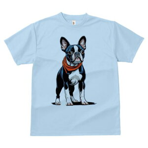 {XgeA TVc  j[NfUCfB[X t@  t vg lJWA 킢 lԗp Mtg I ҏ΍ XJ[t {XgeA