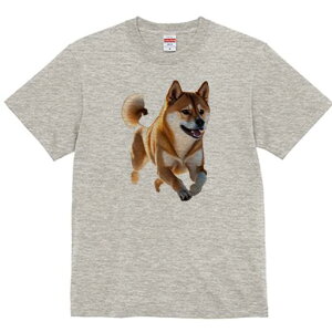 Č TVc  j[NfUCfB[X t@  t vg lJWA 킢 lԗp Mtg I ҏ΍ Č