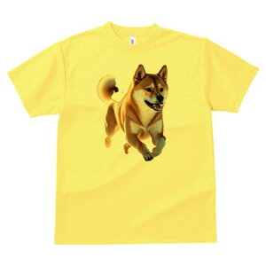 Č TVc  j[NfUCfB[X t@  t vg lJWA 킢 lԗp Mtg I ҏ΍ Č