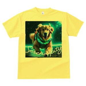 S[fgo[ TVc  j[NfUCfB[X t@  t vg lJWA 킢 lԗp Mtg I ҏ΍ F S[fgo[ F