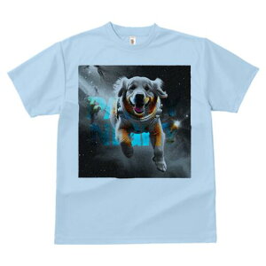 S[fgo[ TVc  j[NfUCfB[X t@  t vg lJWA 킢 lԗp Mtg I ҏ΍ Fsm S[fgo[ 