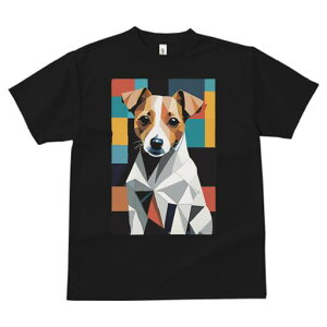 WbNbZeA TVc  j[NfUCfB[X t@  t vg lJWA 킢 lԗp Mtg I ҏ΍ 􉽊w͗l WbNbZe