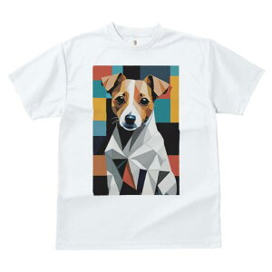 �W���b�N���b�Z���e���A T�V���c ���� ���j�[�N�f�U�C�����f�B�[�X ���t�@�� ���� �t�� �v�����g ��l�J�W���A�� ���킢�� �l�ԗp �M�t�g ���I �ҏ��΍� �􉽊w�͗l �W���b�N���b�Z���e��