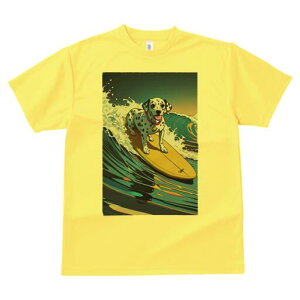 _VA TVc  j[NfUCfB[X t@  t vg lJWA 킢 lԗp Mtg I ҏ΍ g _VA T[tB T[t{[h