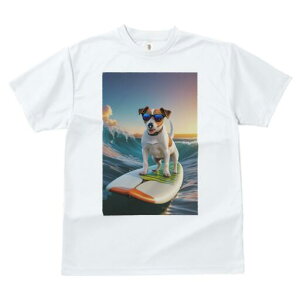 WbNbZeA TVc  j[NfUCfB[X t@  t vg lJWA 킢 lԗp Mtg I ҏ΍ T[tB WbNbZe