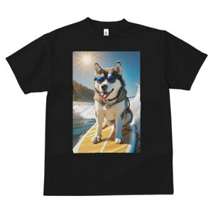 nXL[ TVc  j[NfUCfB[X t@  t vg lJWA 킢 lԗp Mtg I ҏ΍ TOX nXL[ T[tB C g