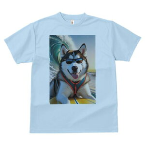 VxAnXL[ TVc  j[NfUCfB[X t@  t vg lJWA 킢 lԗp Mtg I ҏ΍ g VxAnXL[ T[tB T