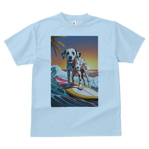 _VA TVc  j[NfUCfB[X t@  t vg lJWA 킢 lԗp Mtg I ҏ΍ T[tB _VA C g z