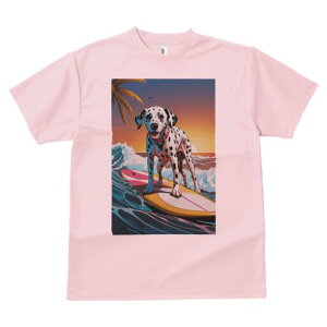 _VA TVc  j[NfUCfB[X t@  t vg lJWA 킢 lԗp Mtg I ҏ΍ T[tB _VA C g z