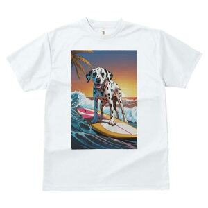 _VA TVc  j[NfUCfB[X t@  t vg lJWA 킢 lԗp Mtg I ҏ΍ T[tB _VA C g z