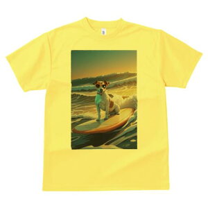 WbNbZeA TVc  j[NfUCfB[X t@  t vg lJWA 킢 lԗp Mtg I ҏ΍ T[tB WbNbZe