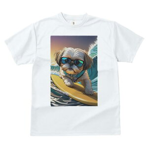 V[Y[ TVc  j[NfUCfB[X t@  t vg lJWA 킢 lԗp Mtg I ҏ΍ T[tB V[Y[ g TOX