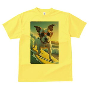 WbNbZeA TVc  j[NfUCfB[X t@  t vg lJWA 킢 lԗp Mtg I ҏ΍ T[tB WbNbZe