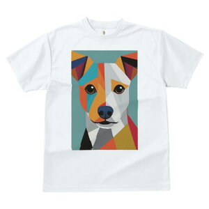 WbNbZeA TVc  j[NfUCfB[X t@  t vg lJWA 킢 lԗp Mtg I ҏ΍ 􉽊w͗l WbNbZe