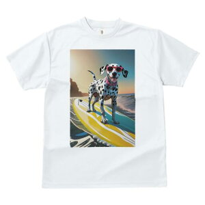 _VA TVc  j[NfUCfB[X t@  t vg lJWA 킢 lԗp Mtg I ҏ΍ T[tB _VA C  r[`