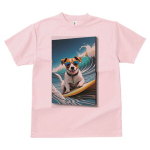 WbNbZeA TVc  j[NfUCfB[X t@  t vg lJWA 킢 lԗp Mtg I ҏ΍ T[tB WbNbZe