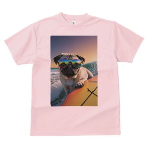 pO TVc  j[NfUCfB[X t@  t vg lJWA 킢 lԗp Mtg I ҏ΍ TOX pO T[tB C g