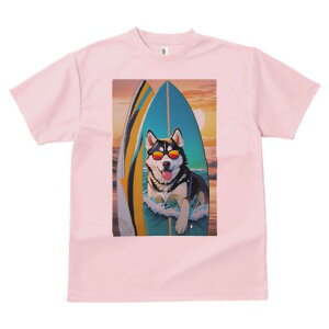 VxAnXL[ TVc  j[NfUCfB[X t@  t vg lJWA 킢 lԗp Mtg I ҏ΍ T[t{[h VxAnXL[ C 