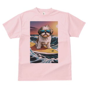 V[Y[ TVc  j[NfUCfB[X t@  t vg lJWA 킢 lԗp Mtg I ҏ΍ T[tB V[Y[ C g z