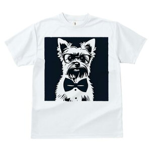 [NV[eA TVc  j[NfUCY LbY t@  t vg lJWA 킢 lԗp Mtg I ҏ΍ Kl [NV[eA lN