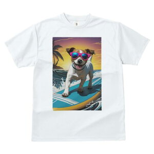 WbNbZeA TVc  j[NfUCfB[X t@  t vg lJWA 킢 lԗp Mtg I ҏ΍ T[tB WbNbZe