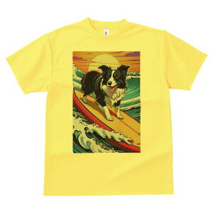 {[_[R[ TVc  j[NfUCY LbY t@  t vg lJWA 킢 lԗp Mtg I ҏ΍ g {[_[R[ T[tB C z