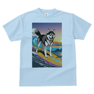 VxAnXL[ TVc  j[NfUCY LbY t@  t vg lJWA 킢 lԗp Mtg I ҏ΍ g VxAnXL[ T[tB 