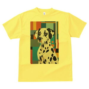 _VA TVc  j[NfUCfB[X t@  t vg lJWA 킢 lԗp Mtg I ҏ΍ wi _VA A[g