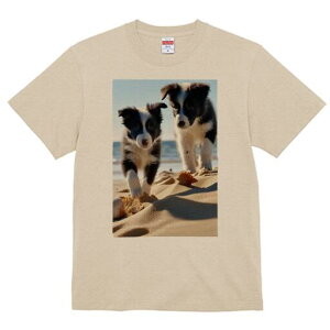 {[_[R[ TVc  j[NfUCfB[X t@  t vg lJWA 킢 lԗp Mtg I ҏ΍ r[` {[_[R[ C  Lk