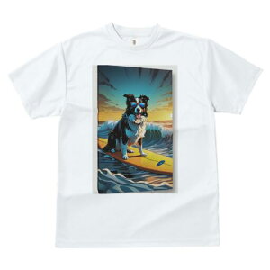 {[_[R[ TVc  j[NfUCfB[X t@  t vg lJWA 킢 lԗp Mtg I ҏ΍ T[tB {[_[R[ C g TO