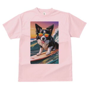 {[_[R[ TVc  j[NfUCfB[X t@  t vg lJWA 킢 lԗp Mtg I ҏ΍ T[tB {[_[R[ C g TO