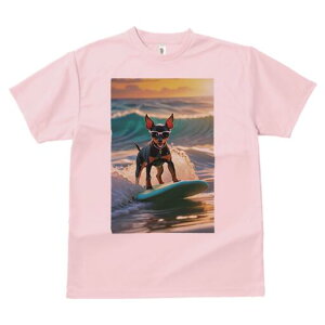 ~j`AsV[ TVc  j[NfUCY LbY t@  t vg lJWA 킢 lԗp Mtg I ҏ΍ T[tB ~j`AsV