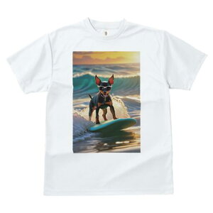 ~j`AsV[ TVc  j[NfUCfB[X t@  t vg lJWA 킢 lԗp Mtg I ҏ΍ T[tB ~j`AsV[ 