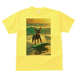 ~j`AsV[ TVc  j[NfUCfB[X t@  t vg lJWA 킢 lԗp Mtg I ҏ΍ T[tB ~j`AsV[ 