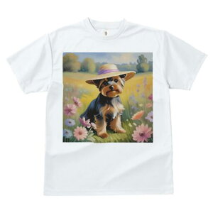 [NV[eA TVc  j[NfUCfB[X t@  t vg lJWA 킢 lԗp Mtg I ҏ΍ Xq [NV[eA   i