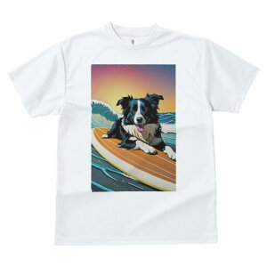 {[_[R[ TVc  j[NfUCfB[X t@  t vg lJWA 킢 lԗp Mtg I ҏ΍ g {[_[R[ T[tB C 