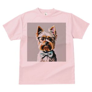 [NV[eA TVc  j[NfUCfB[X t@  t vg lJWA 킢 lԗp Mtg I ҏ΍ Kl [NV[eA lN^