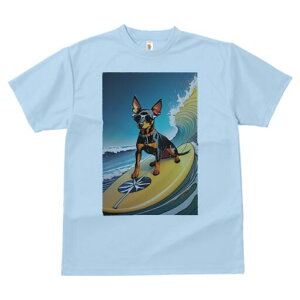 ~j`AsV[ TVc  j[NfUCfB[X t@  t vg lJWA 킢 lԗp Mtg I ҏ΍ T[tB ~j`AsV[ 