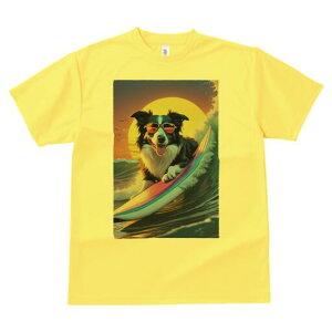 {[_[R[ TVc  j[NfUCfB[X t@  t vg lJWA 킢 lԗp Mtg I ҏ΍ T[tB {[_[R[ C g z