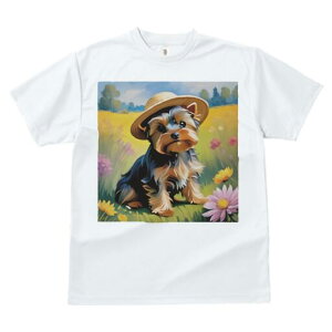 [NV[eA TVc  j[NfUCfB[X t@  t vg lJWA 킢 lԗp Mtg I ҏ΍ Xq [NV[eA  