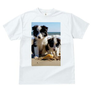 {[_[R[ TVc  j[NfUCfB[X t@  t vg lJWA 킢 lԗp Mtg I ҏ΍ r[` {[_[R[ C  Lk