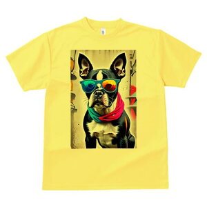 {XgeA TVc  j[NfUCfB[X t@  t vg lJWA 킢 lԗp Mtg I ҏ΍ TOX {XgeA XJ[t O