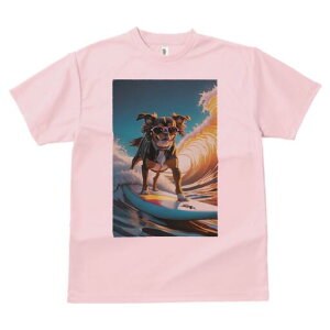 ` TVc  j[NfUCfB[X t@  t vg lJWA 킢 lԗp Mtg I ҏ΍ T[tB ` g C 