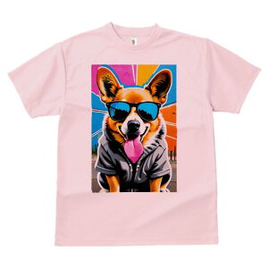 R[M[ TVc  j[NfUCfB[X t@  t vg lJWA 킢 lԗp Mtg I ҏ΍ TOX R[M[ p[J[