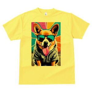 R[M[ TVc  j[NfUCfB[X t@  t vg lJWA 킢 lԗp Mtg I ҏ΍ TOX R[M[ p[J[