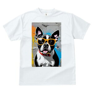 {XgeA TVc  j[NfUCfB[X t@  t vg lJWA 킢 lԗp Mtg I ҏ΍ Kl {XgeA  