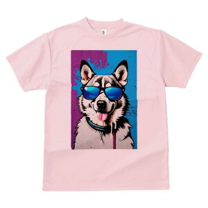 VxAnXL[ TVc  j[NfUCfB[X t@  t vg lJWA 킢 lԗp Mtg I ҏ΍ TOX VxAnXL[ O