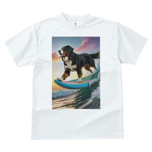 o[j[Y}EehbO TVc  j[NfUCY LbY t@  t vg lJWA 킢 lԗp Mtg I ҏ΍ T[tB o[j[Y}